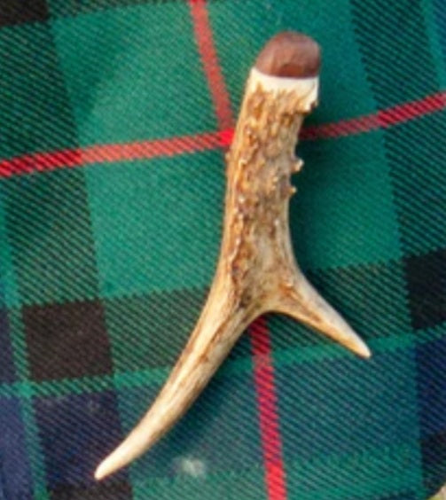 Roe Deer Antler Kilt Pin